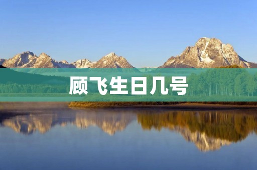 顾飞生日几号