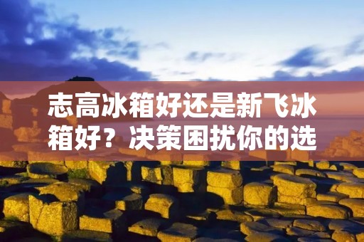 志高冰箱好还是新飞冰箱好?决策困扰你的选择! 志高冰箱好还是新飞冰箱好?决策困扰你的选择!