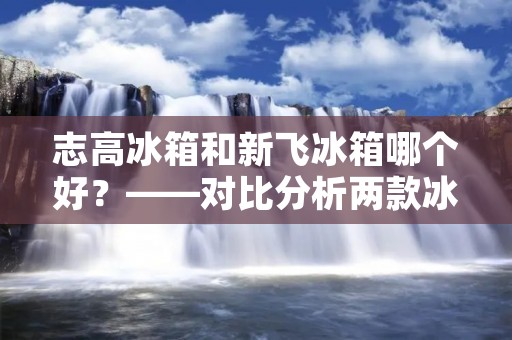 志高冰箱和新飞冰箱哪个好？——对比分析两款冰箱的优缺点及用户评价
