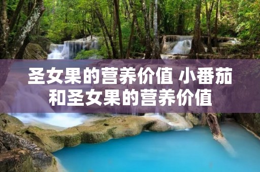 圣女果的营养价值 小番茄和圣女果的营养价值