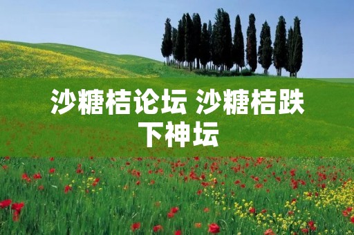 沙糖桔论坛 沙糖桔跌下神坛