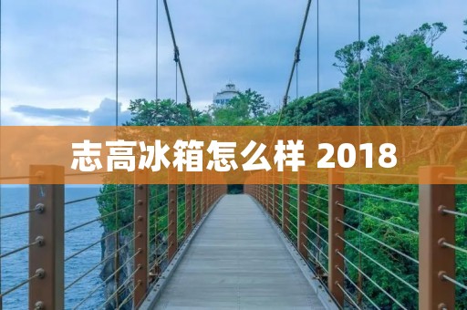 志高冰箱怎么样 2018：冷藏技术的创新与高效节能