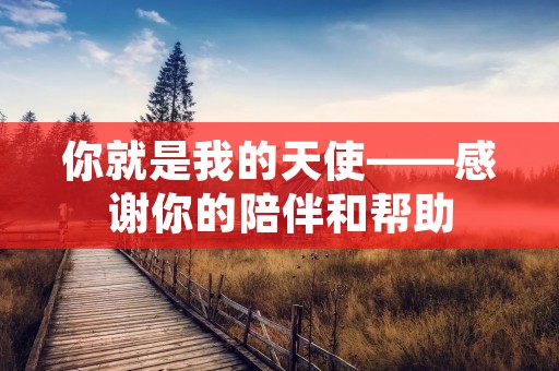 你就是我的天使——感谢你的陪伴和帮助