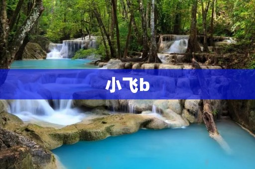 小飞b:打破传统的全新体验 小飞b:打破传统的全新体验