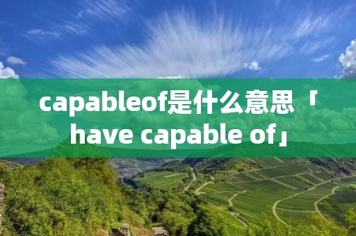 capableof是什么意思「have capable of」