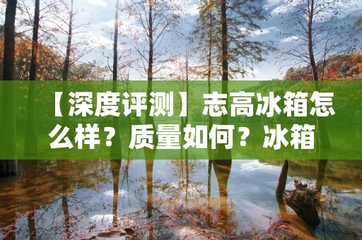 【深度评测】志高冰箱怎么样？质量如何？冰箱选购攻略