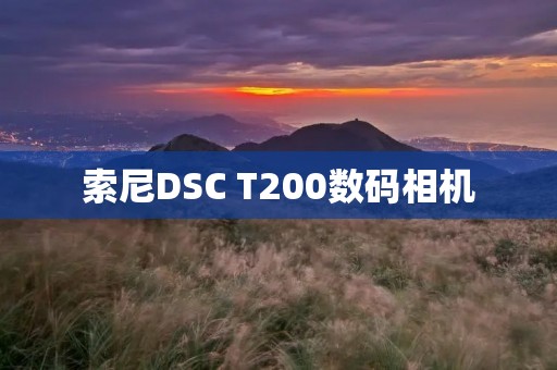 索尼DSC T200数码相机:超越想象的拍摄体验 索尼DSC T200数码相机:超越想象的拍摄体验