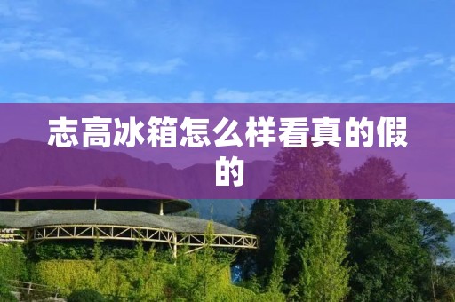 志高冰箱怎么样看真的假的:从品牌口碑到产品特点全面解析 志高冰箱怎么样看真的假的:从品牌口碑到产品特点全面解析