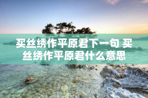 买丝绣作平原君下一句 买丝绣作平原君什么意思