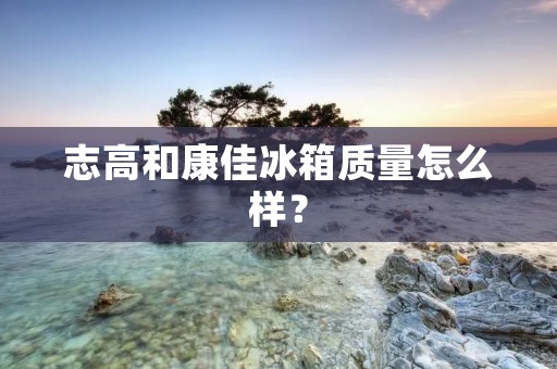 志高和康佳冰箱质量怎么样？