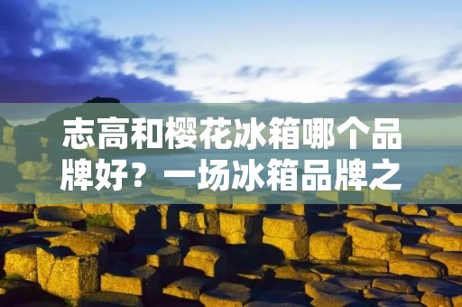 志高和樱花冰箱哪个品牌好？一场冰箱品牌之战的探索