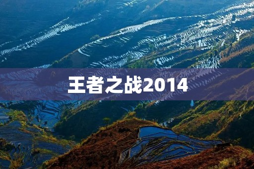 王者之战2014:一场竞技盛宴的回顾 王者之战2014:一场竞技盛宴的回顾