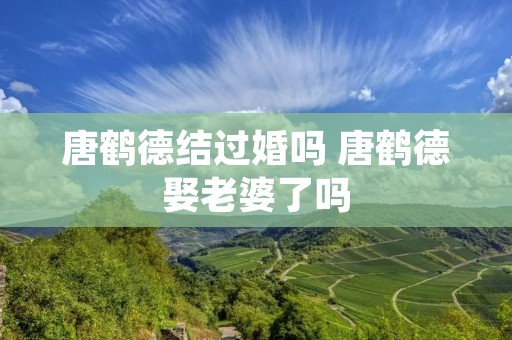 唐鹤德结过婚吗 唐鹤德娶老婆了吗