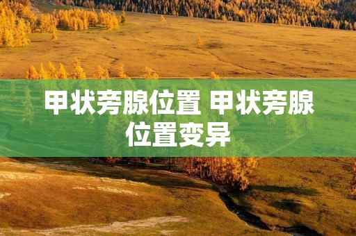 甲状旁腺位置 甲状旁腺位置变异