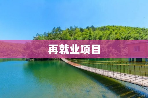 再就业项目:为失业者提供机会重返职场 再就业项目:为失业者提供机会重返职场