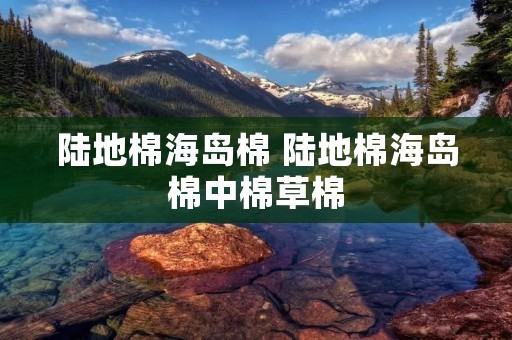 陆地棉海岛棉 陆地棉海岛棉中棉草棉