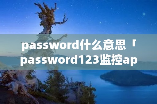password什么意思「password123监控app摄像头」