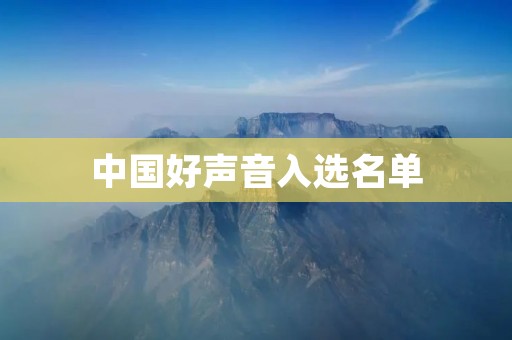 中国好声音入选名单:盛世音韵,才华绽放 中国好声音入选名单:盛世音韵,才华绽放