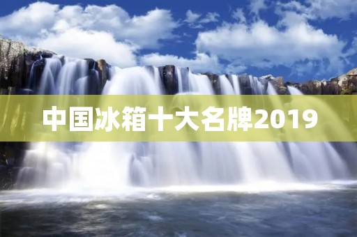 中国冰箱十大名牌2019:品质与创新的完美结合 中国冰箱十大名牌2019:品质与创新的完美结合