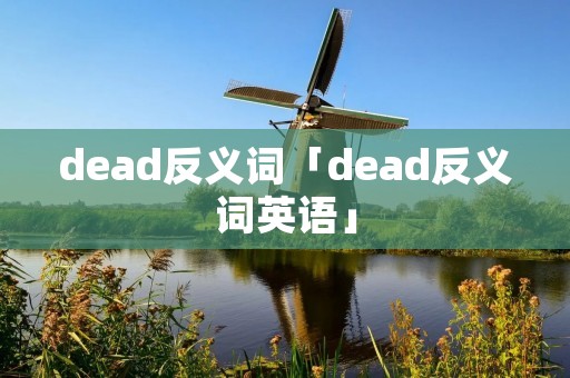 dead反义词「dead反义词英语」