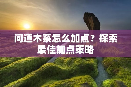 问道木系怎么加点？探索最佳加点策略