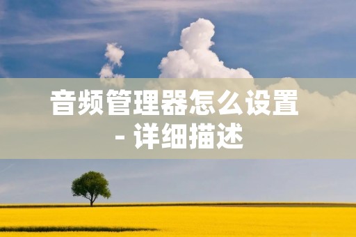 音频管理器怎么设置 - 详细描述