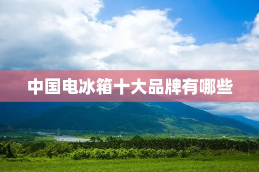 中国电冰箱十大品牌有哪些 中国电冰箱十大品牌有哪些