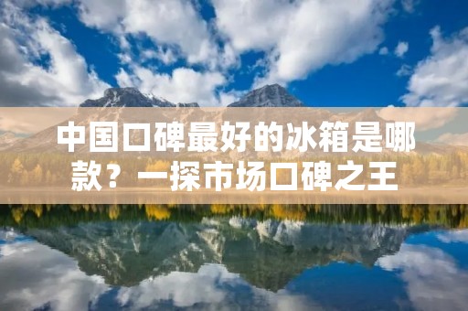 中国口碑最好的冰箱是哪款？一探市场口碑之王
