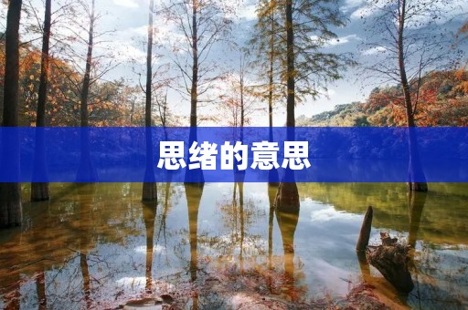 思绪的意思