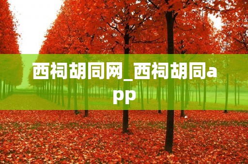 西祠胡同网_西祠胡同app 西祠胡同网_西祠胡同app