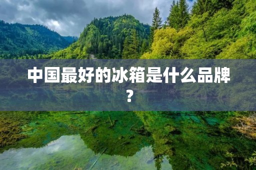 中国最好的冰箱是什么品牌? 中国最好的冰箱是什么品牌?