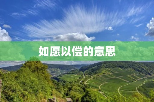 如愿以偿的意思