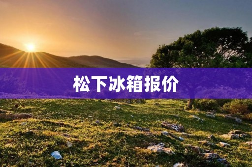 松下冰箱报价:为您详细解析松下冰箱的价格与性能 松下冰箱报价:为您详细解析松下冰箱的价格与性能