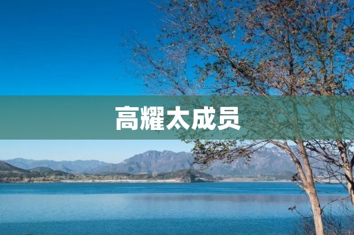 高耀太成员:追寻音乐梦想的坚定力量 高耀太成员:追寻音乐梦想的坚定力量