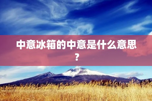 中意冰箱的中意是什么意思? 中意冰箱的中意是什么意思?