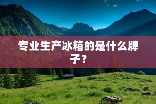 专业生产冰箱的是什么牌子?