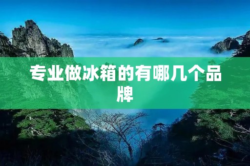 专业做冰箱的有哪几个品牌