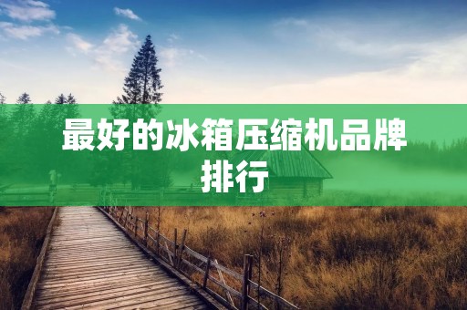 最好的冰箱压缩机品牌排行:选择冰箱压缩机的优质品牌 最好的冰箱压缩机品牌排行:选择冰箱压缩机的优质品牌