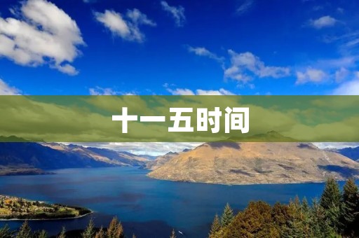 十一五时间：中国发展的关键时刻