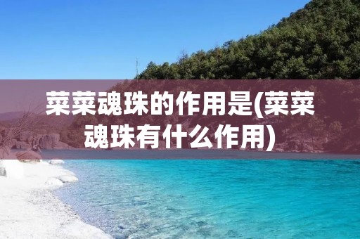 菜菜魂珠的作用是(菜菜魂珠有什么作用)