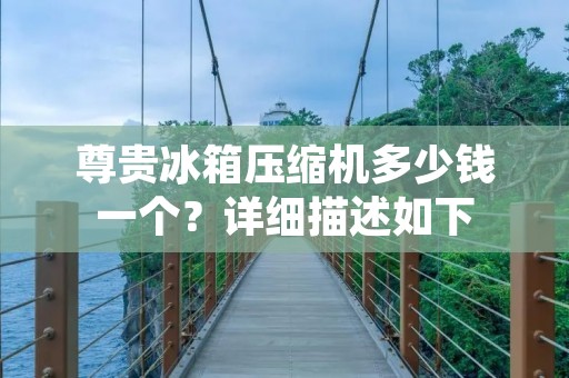 尊贵冰箱压缩机多少钱一个？详细描述如下：