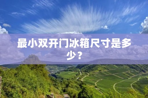 最小**门冰箱尺寸是多少？