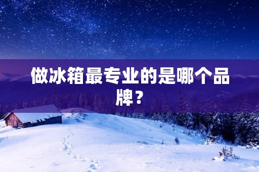 做冰箱最专业的是哪个品牌? 做冰箱最专业的是哪个品牌?