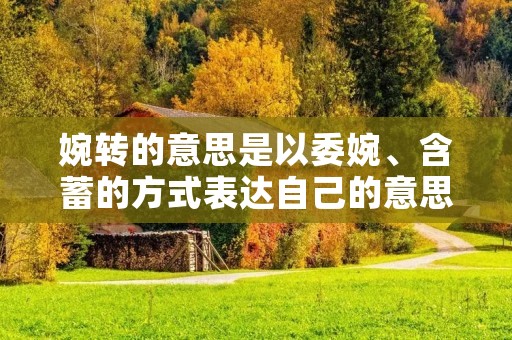 婉转的意思是以委婉、含蓄的方式表达自己的意思或情感，避免直接或冒犯性的言辞。它是一种非常重要的社交技巧，能够有效地传达信息，维持人际关系的和谐。