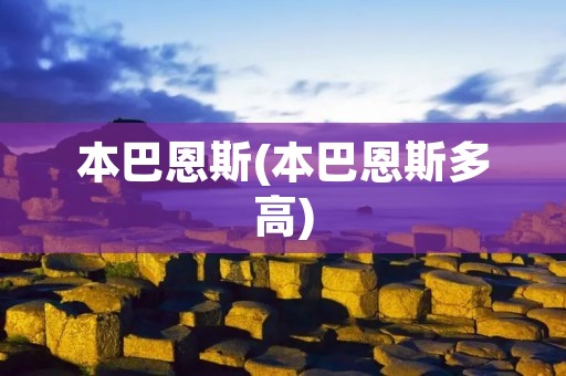 本巴恩斯(本巴恩斯多高)