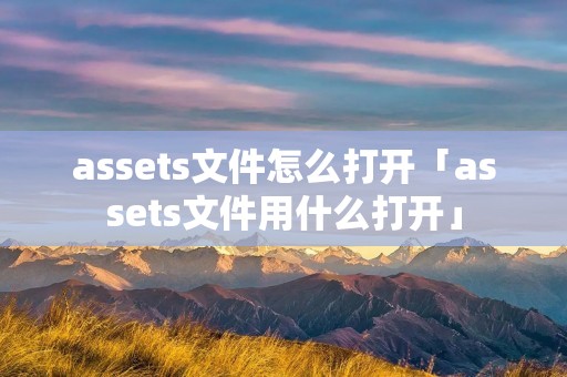 assets文件怎么打开「assets文件用什么打开」