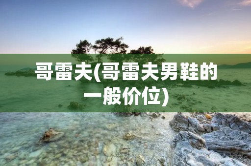 哥雷夫(哥雷夫男鞋的一般价位)