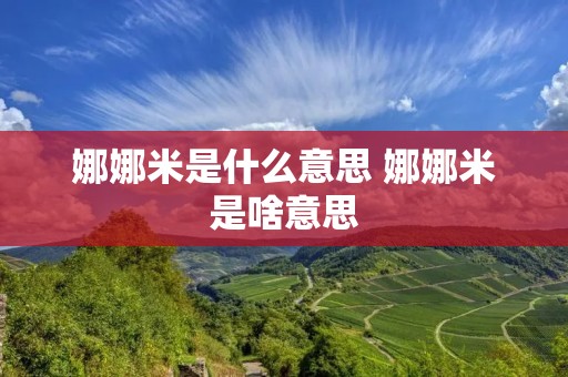 娜娜米是什么意思 娜娜米是啥意思