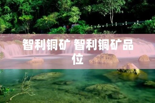 智利铜矿 智利铜矿品位