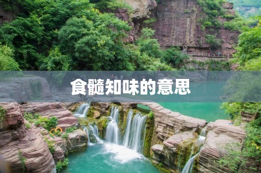 食髓知味的意思 食髓知味的意思